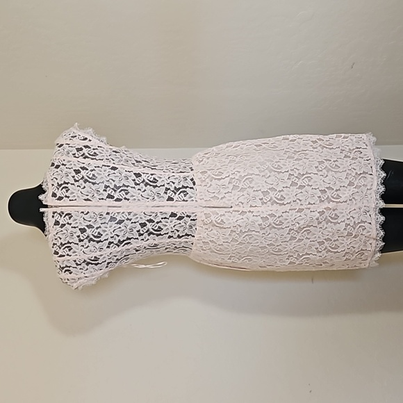 Babaton Powdered Light Pink Lace Short V Tapered Dress Sz. 8 - Picture 4 of 11